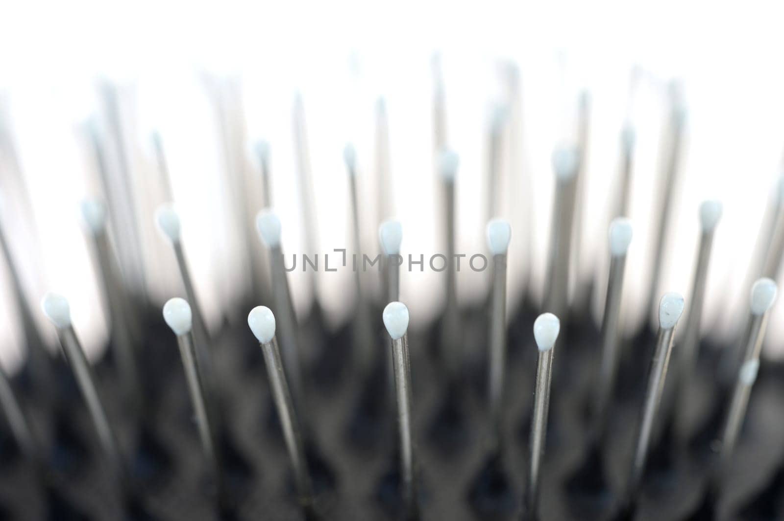 A close up shot of a dogs grooming brush