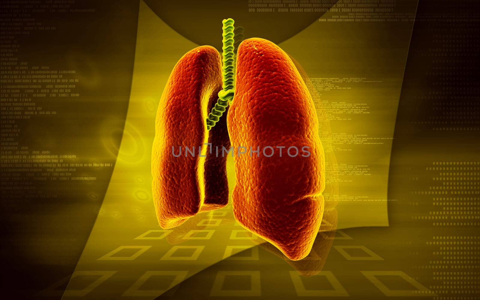 Digital illustration of human lungs in colour background