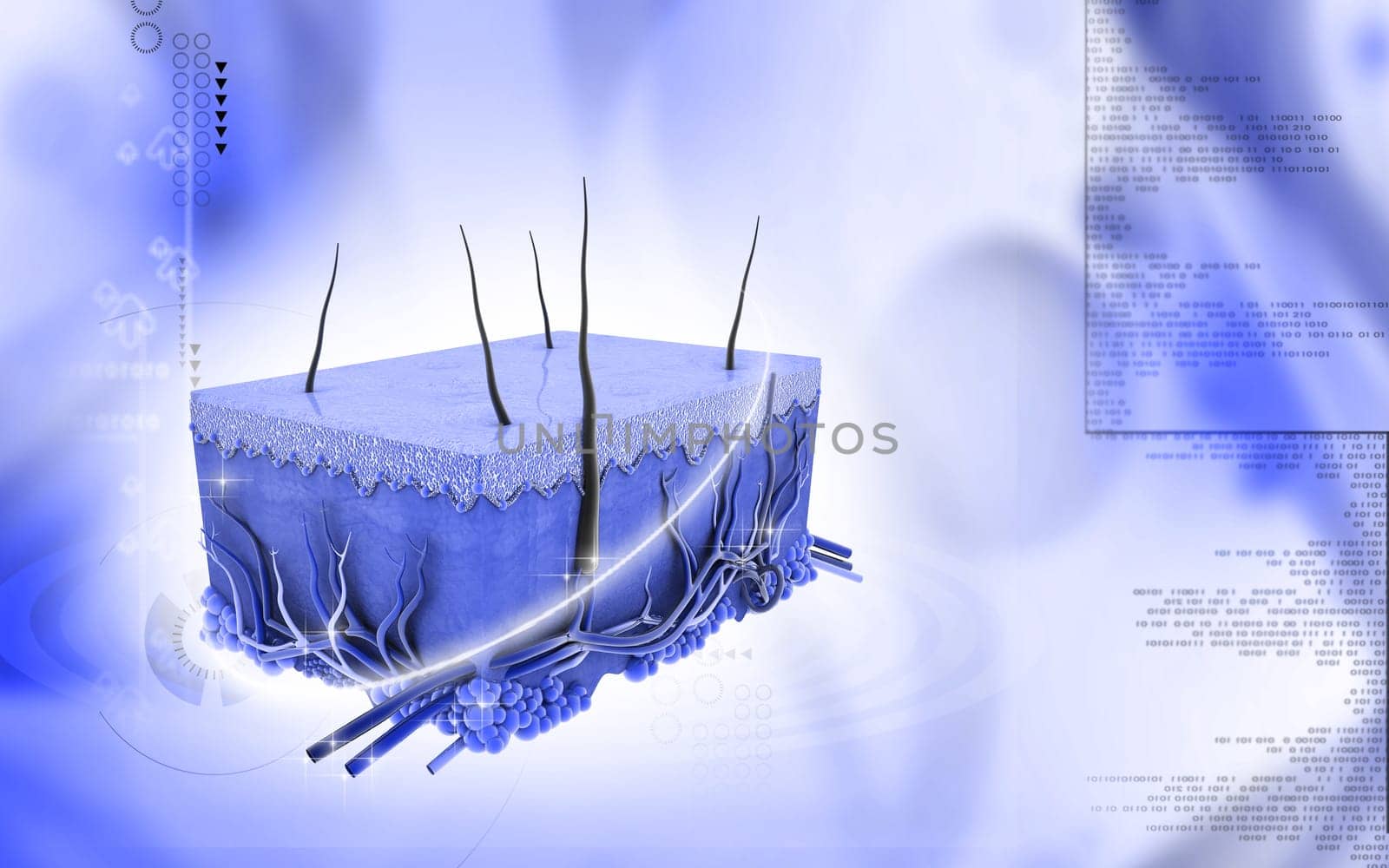 Digital illustration of Skin in colour background