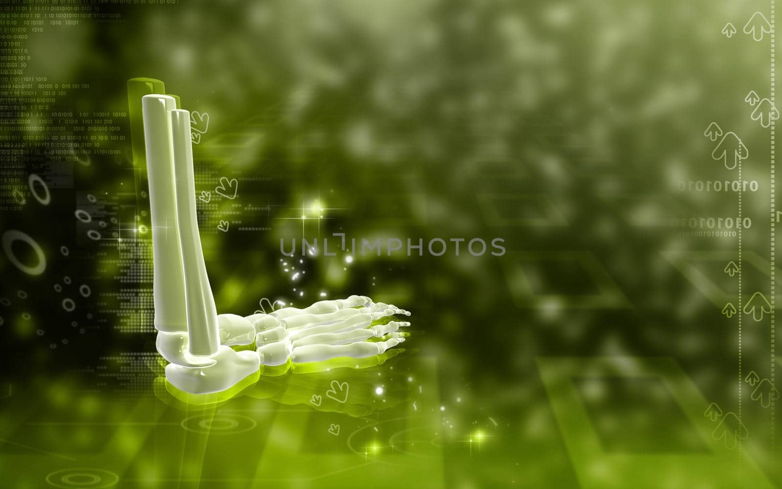 Digital illustration of Leg bone in colour background