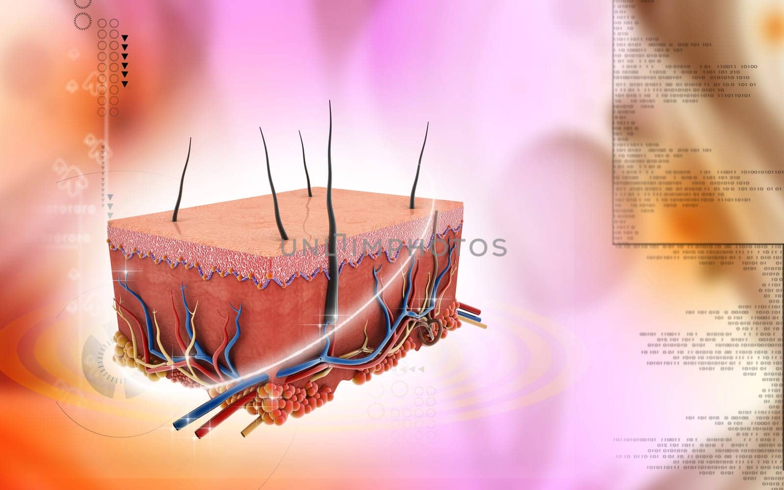 Digital illustration of Skin in colour background