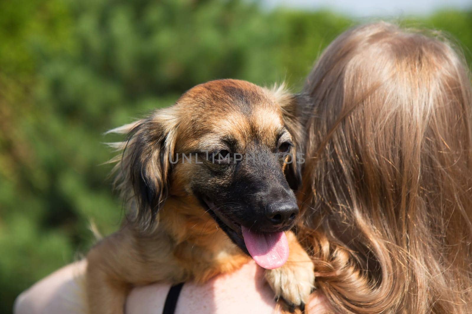 Young woman is holding a dog. Woman is turned back to the camera and the dog is looking over her shoulder at the camera. Shooting outdoors. Horizontally.