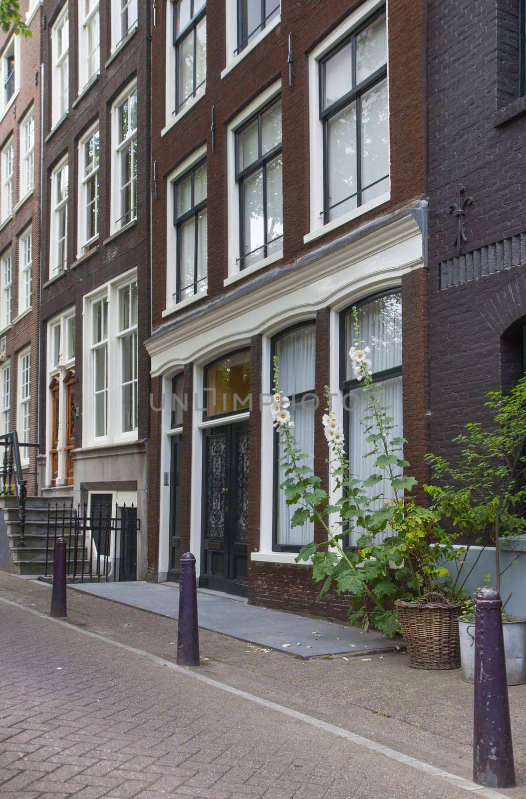 Traditional Dutch houses. (Amsterdam, Netherlands). Vertically. All potential trademarks are removed.