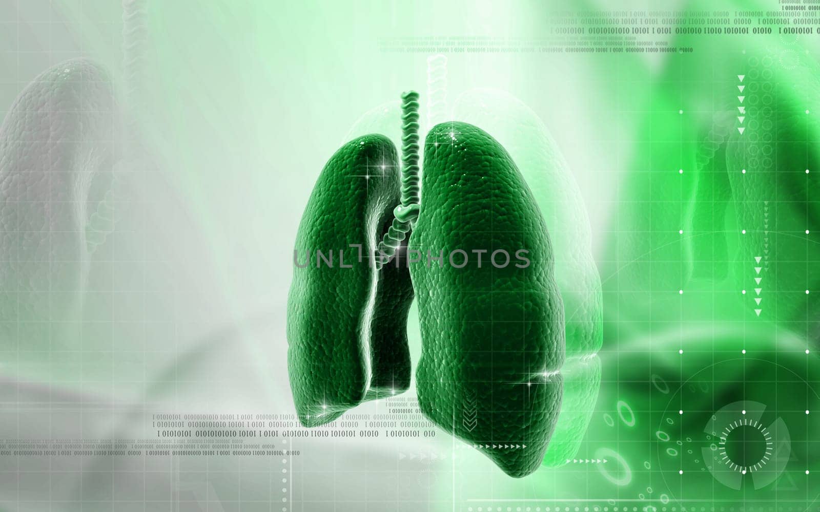 Digital illustration of human lungs in colour background