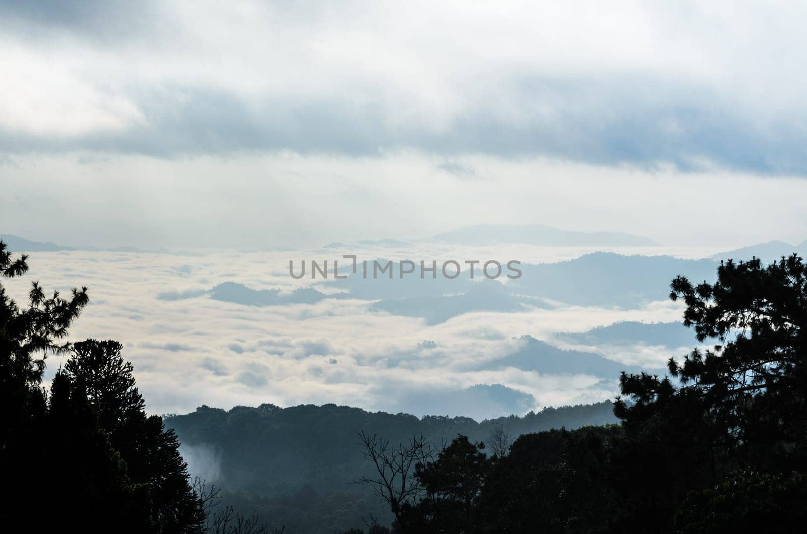 Landscape of cloud above cordillera in the morning from high mountain at viewpoint Huai Nam Dang national park, Chiang Mai and Mae Hong Son province, Thailand