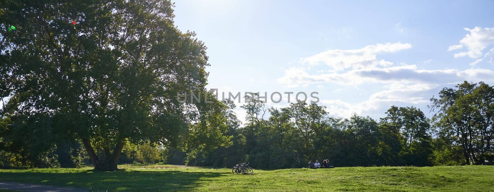 Sunny day in park. Landscape of green grass and two bicycles standing near tree, sunbeams lighting up the scene.