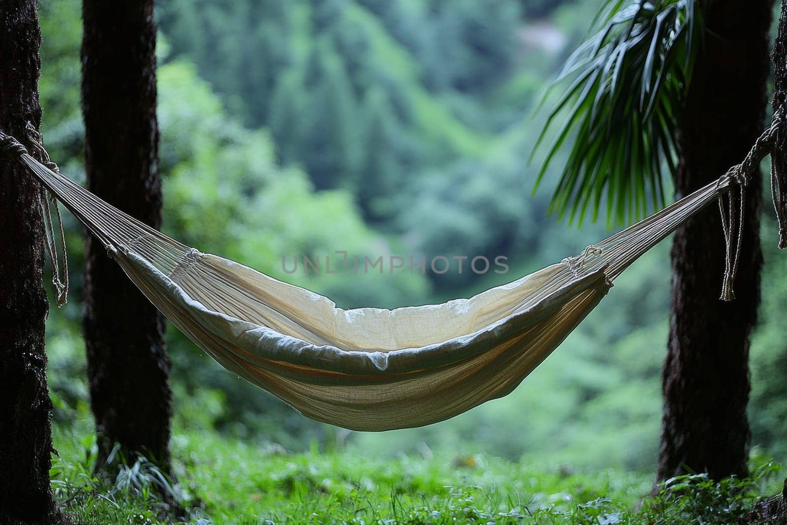 A cozy hammock is suspended between two trees in a tranquil forest, inviting relaxation among the vibrant greenery.