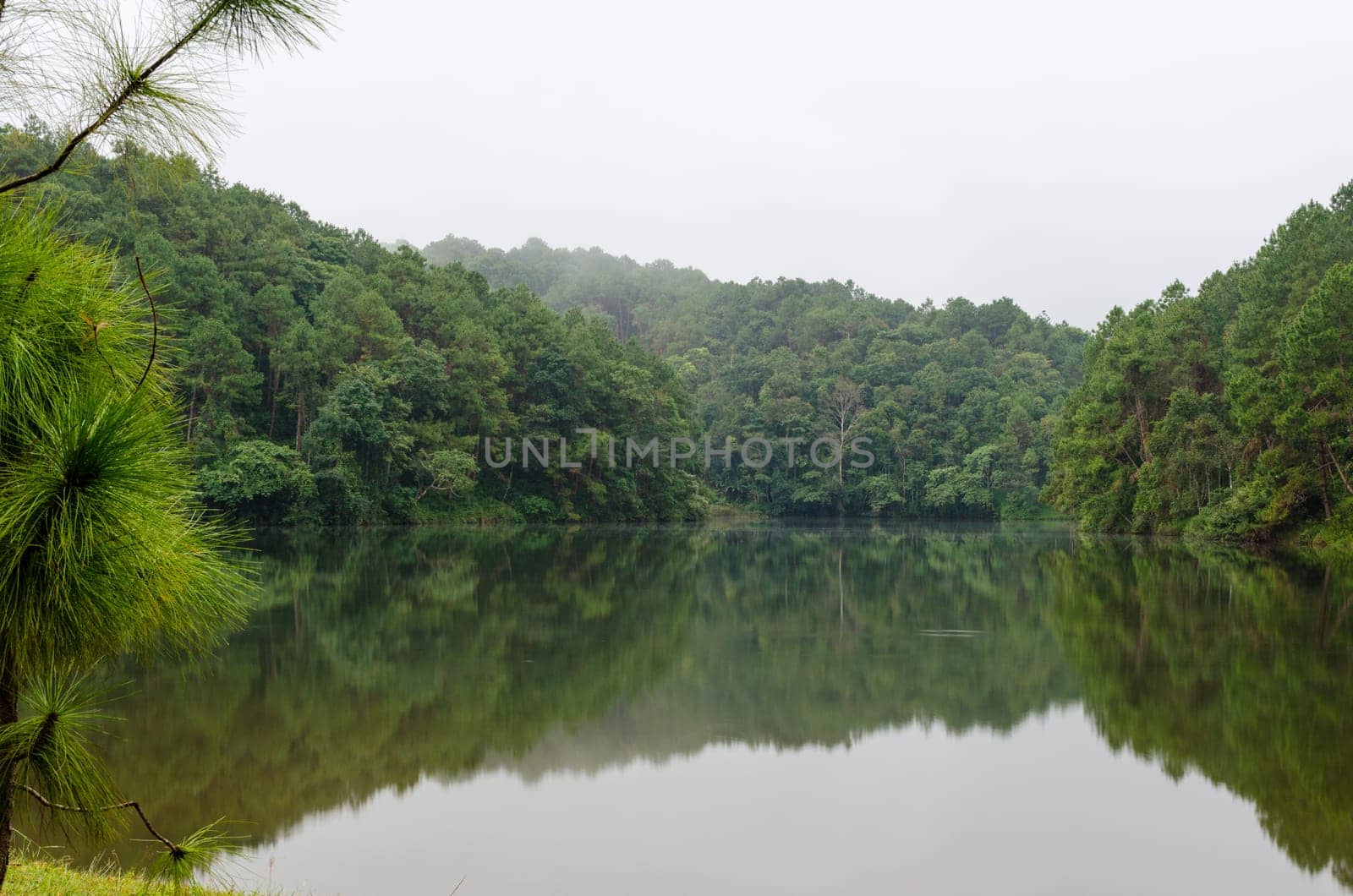 Nature landscape at dawn of lakes and pine forests in Pang Ung national park of Mae Hong Son province, Thailand