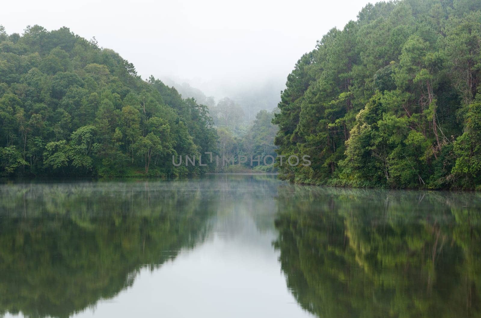 Nature landscape at dawn of lakes and pine forests in Pang Ung national park of Mae Hong Son province, Thailand