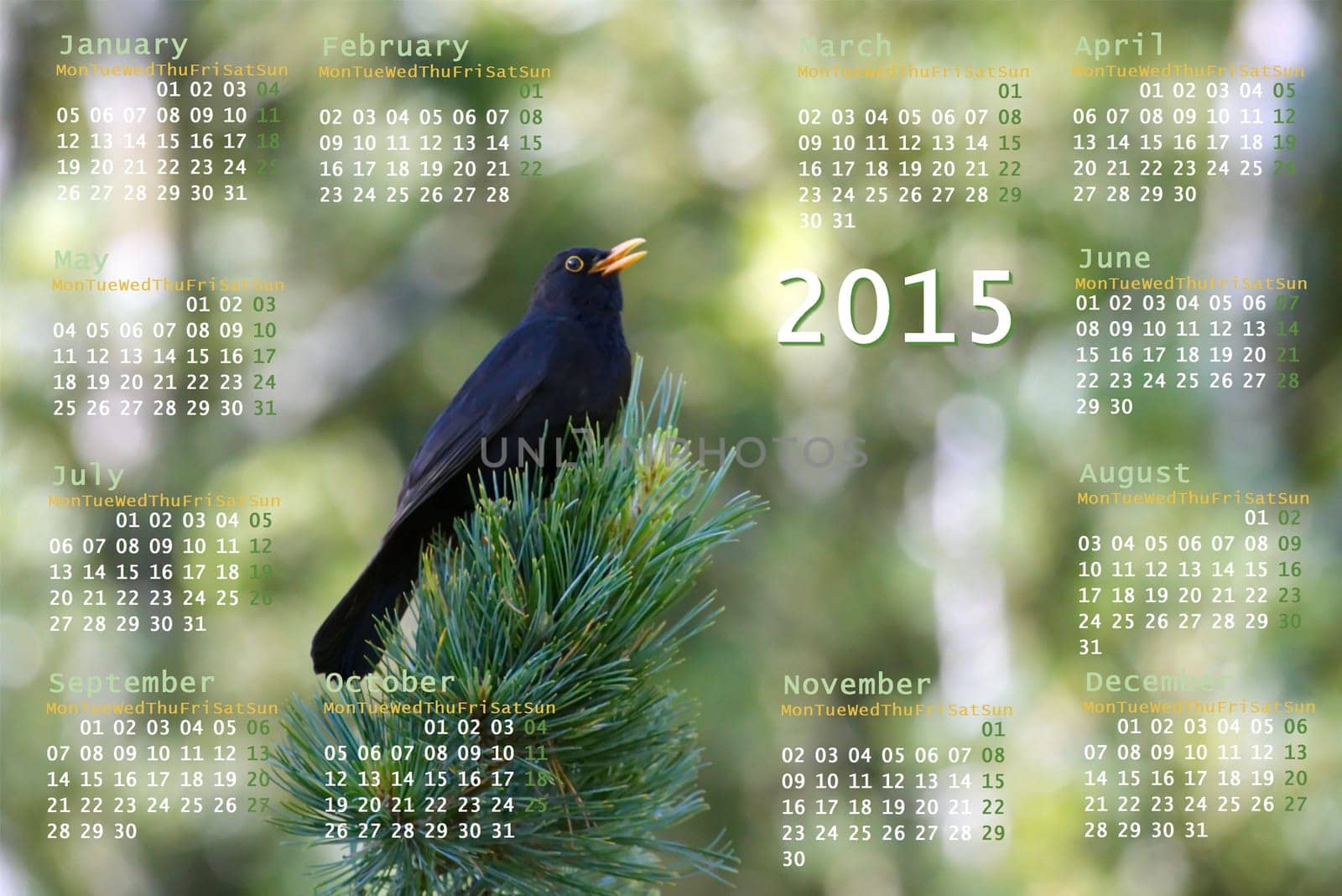 European 2015 year calendar with black bird on a branch