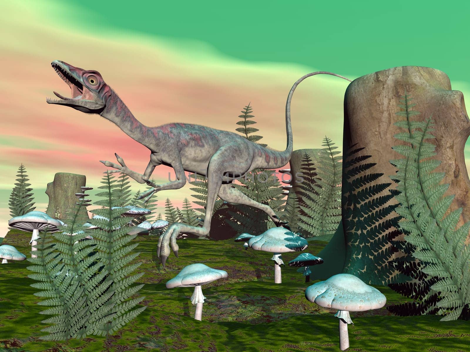 Compsognathus dinosaur walking among mushrooms and vegetation - 3D render