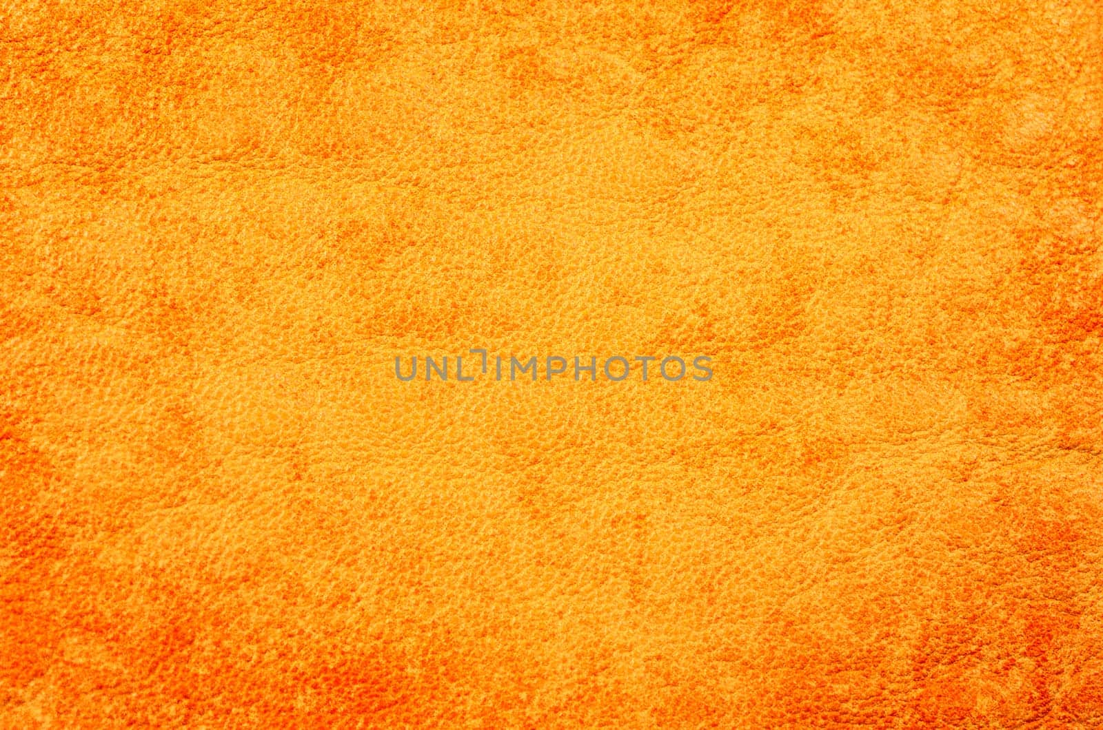 Leather texture with space for text
