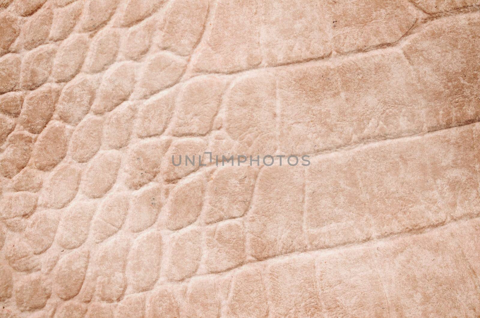Crocodile grunge texture with space for text