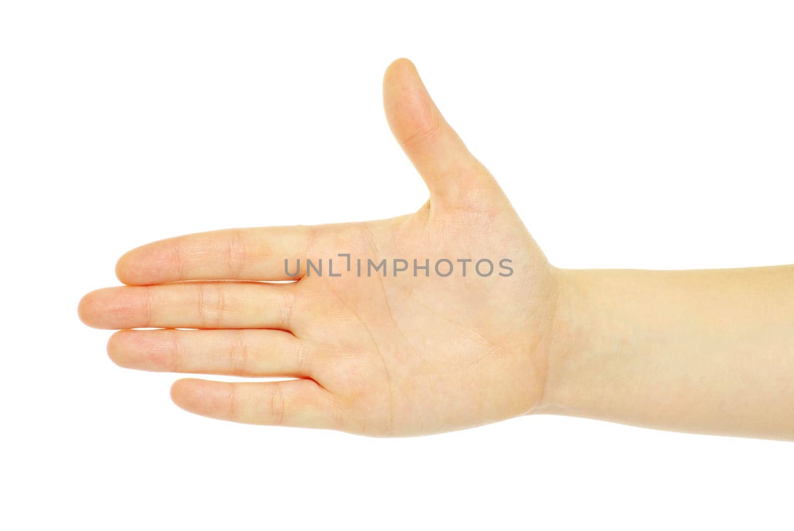 hand isolated on a white