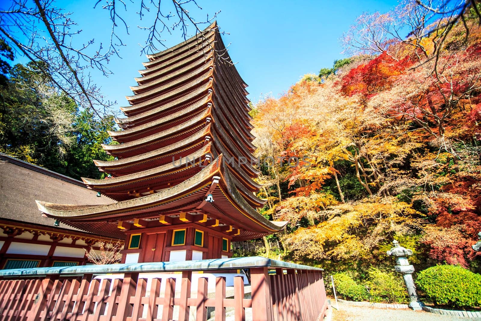 Tanzan Shrine at fall for adv or others purpose use