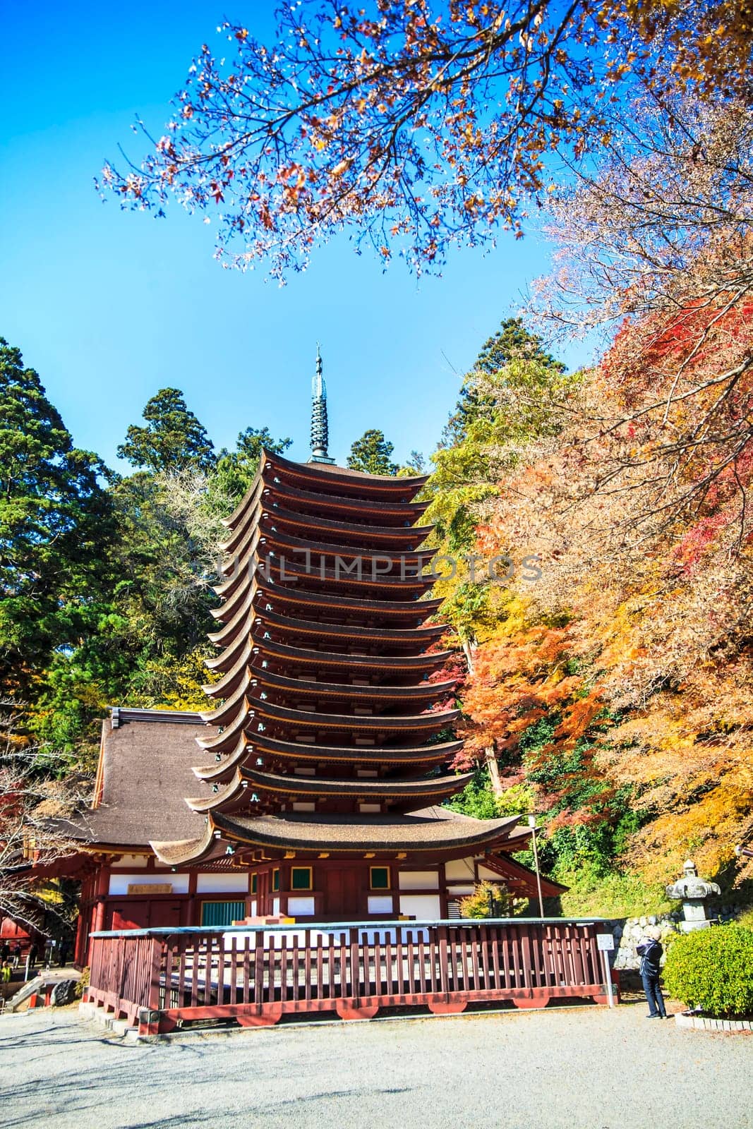 Tanzan Shrine at fall for adv or others purpose use