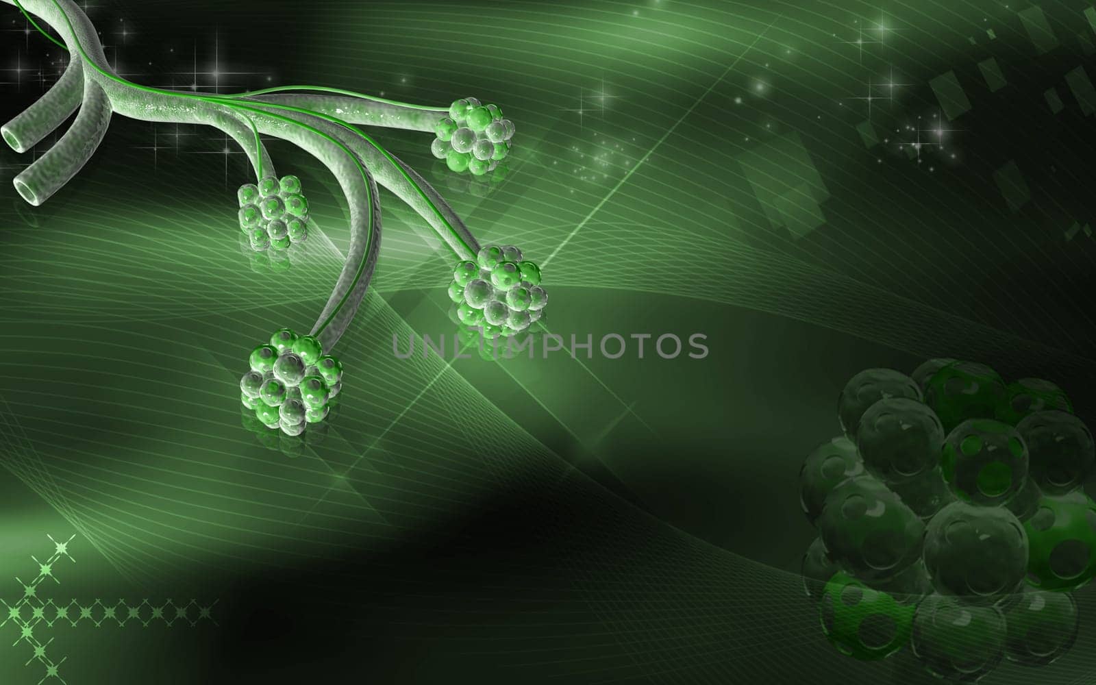 Digital illustration of alveoli in colour background