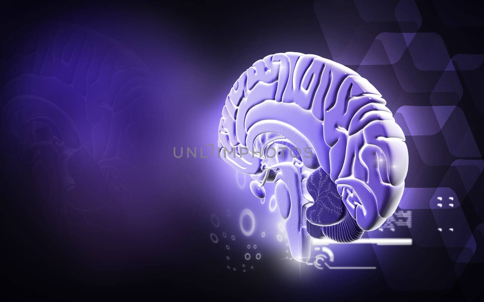 Digital illustration of brain in colour background
