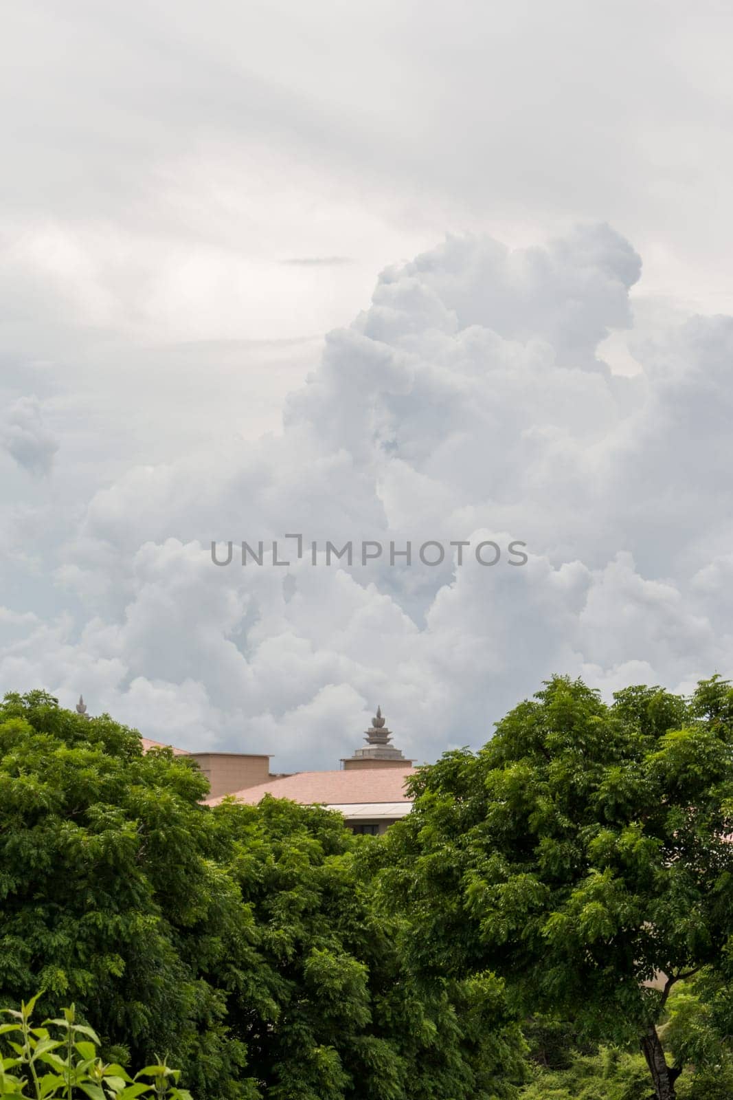 House roof in a plantation in a rich vegetation with cloudy skies in Singapore