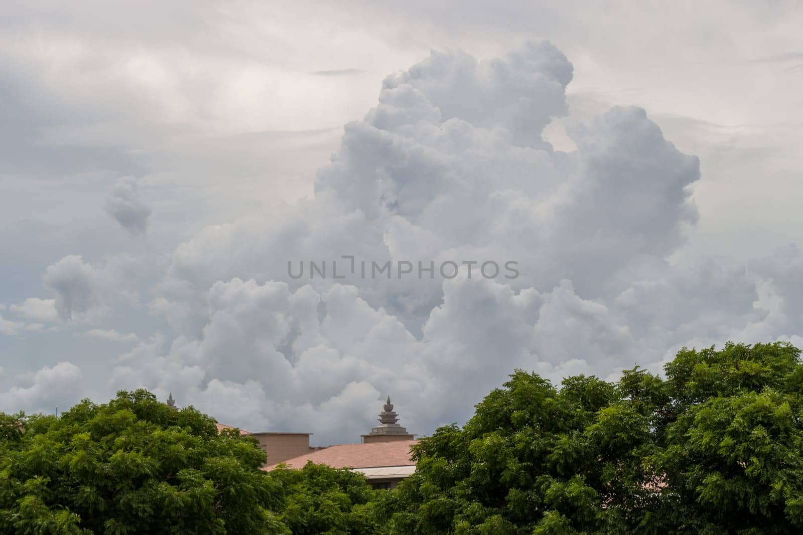 House roof in a plantation in a rich vegetation with cloudy skies in Singapore