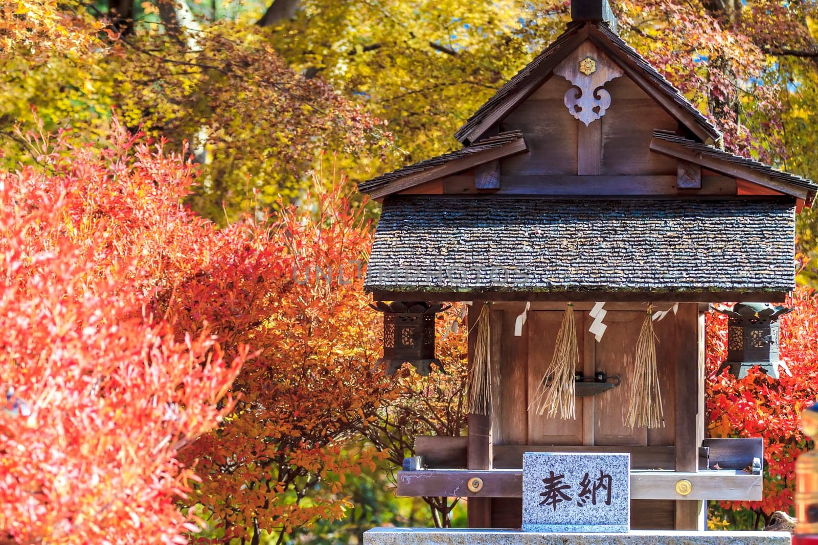 Tanzan Shrine at fall for adv or others purpose use
