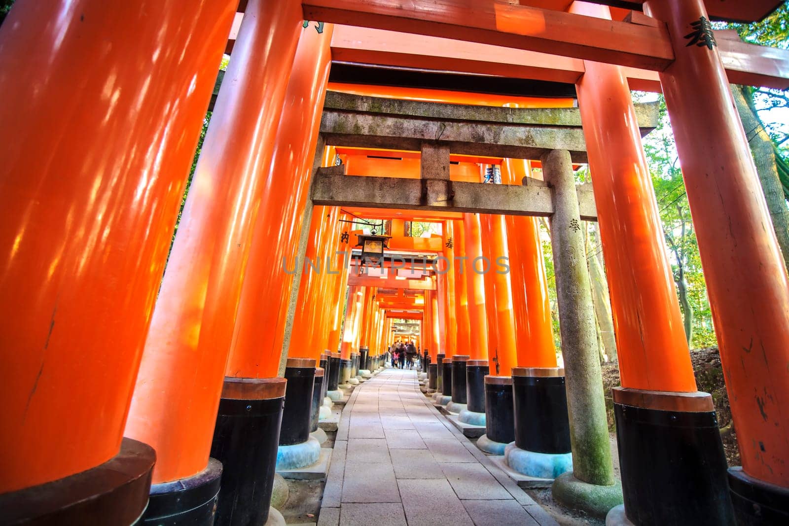 Kyoto, Japan - June 30, 2014