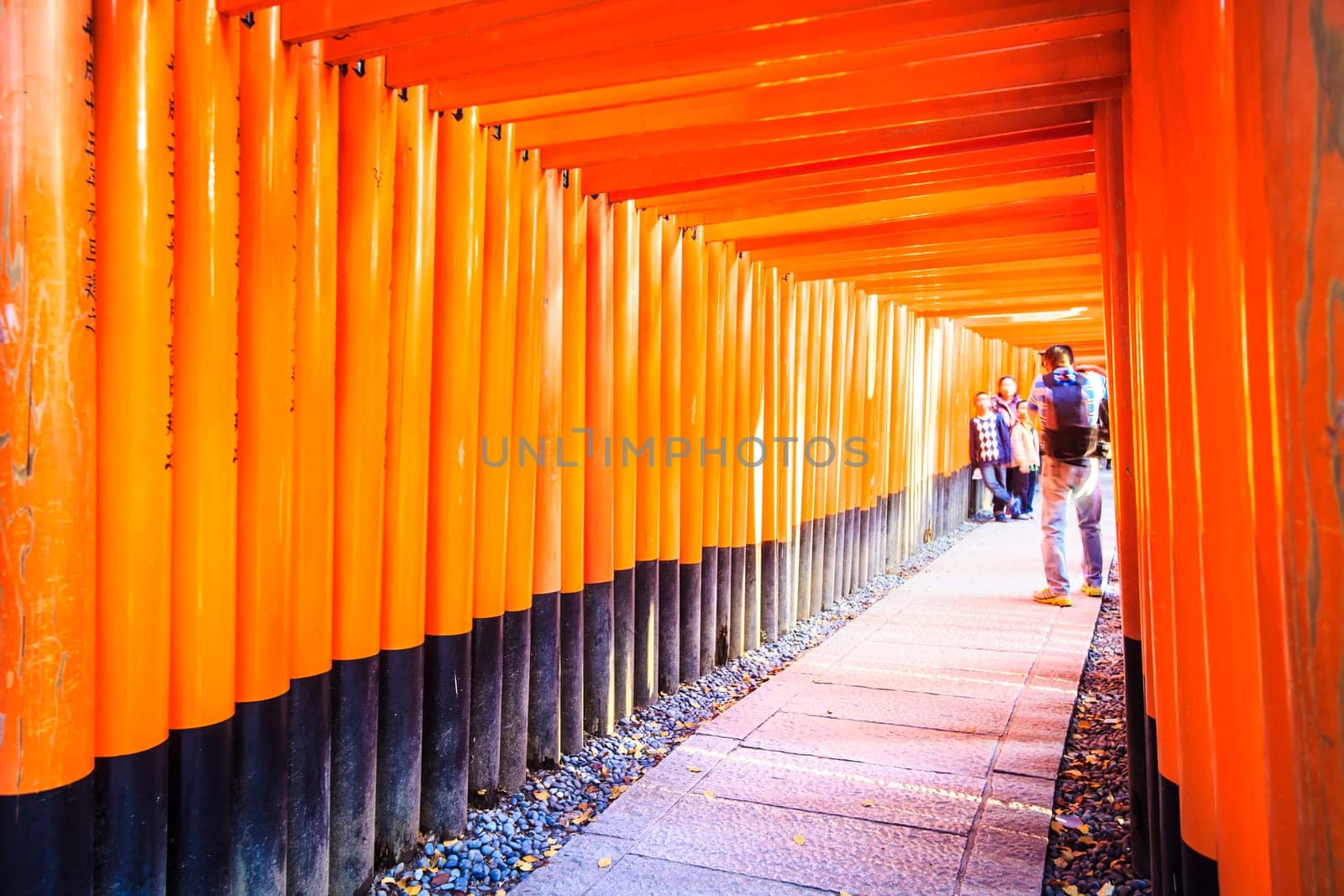 Kyoto, Japan - June 30, 2014