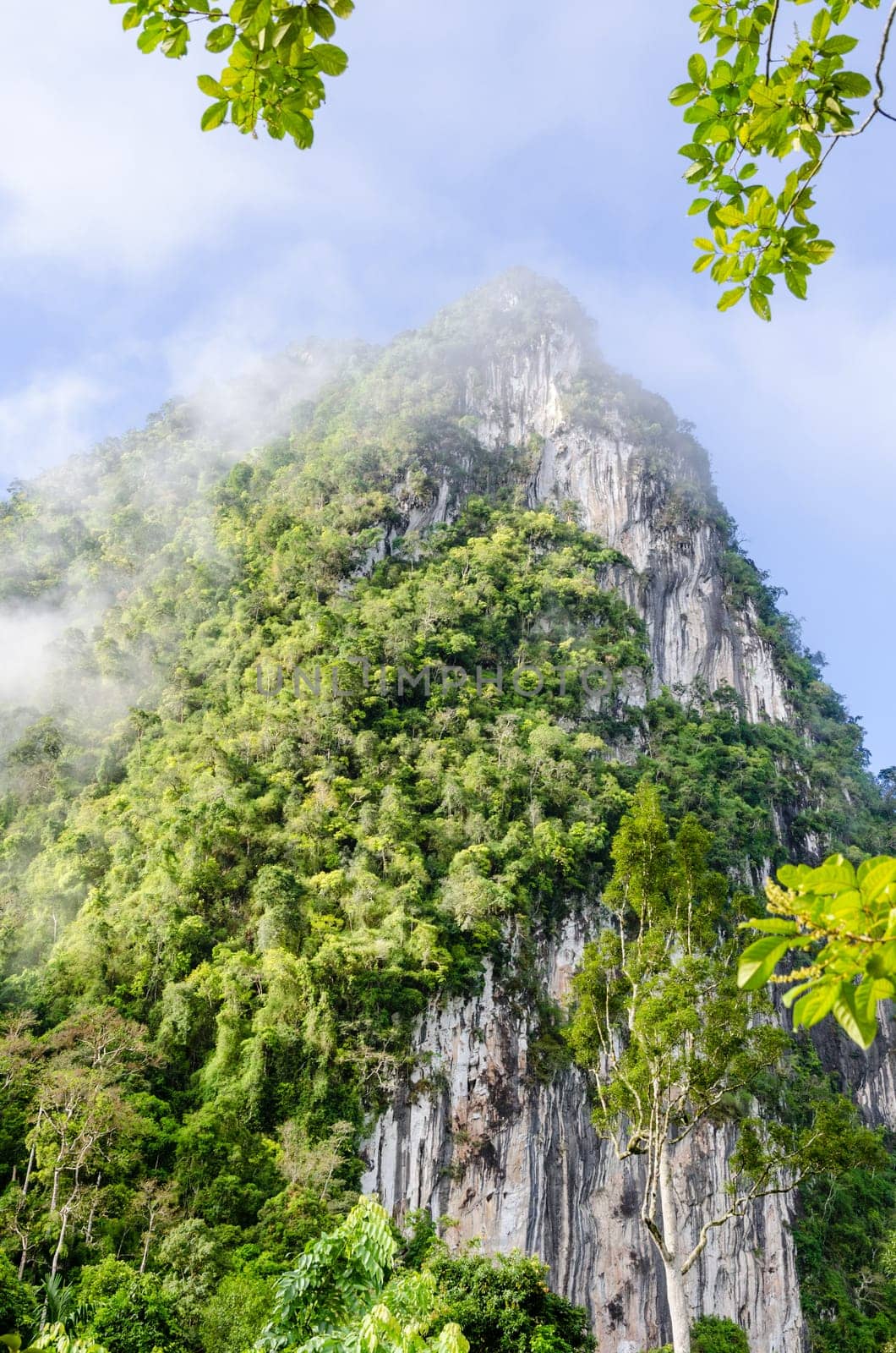 Lush high limestone mountain covered by mist surrounded by tropical forests of Thailand