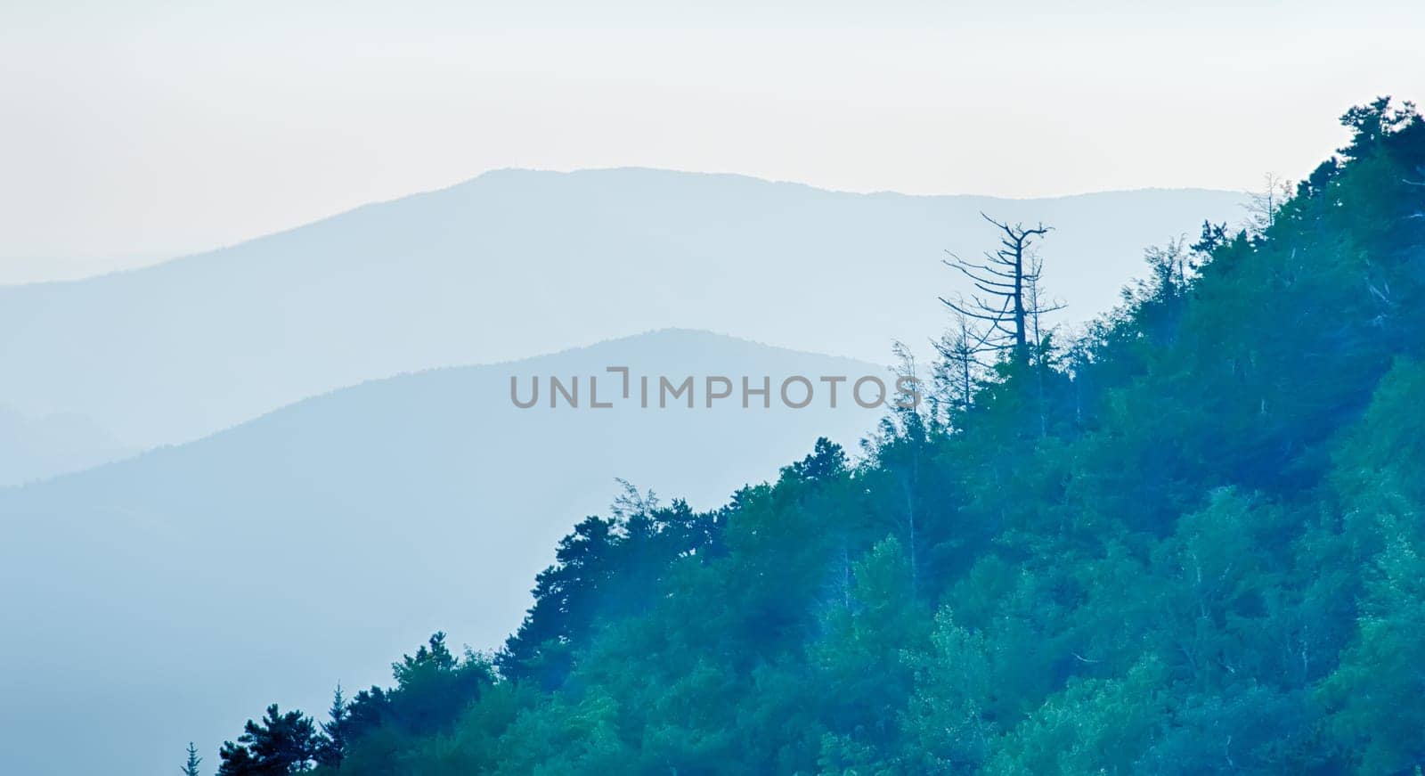 Panorama  of mountain ridges silhouettes