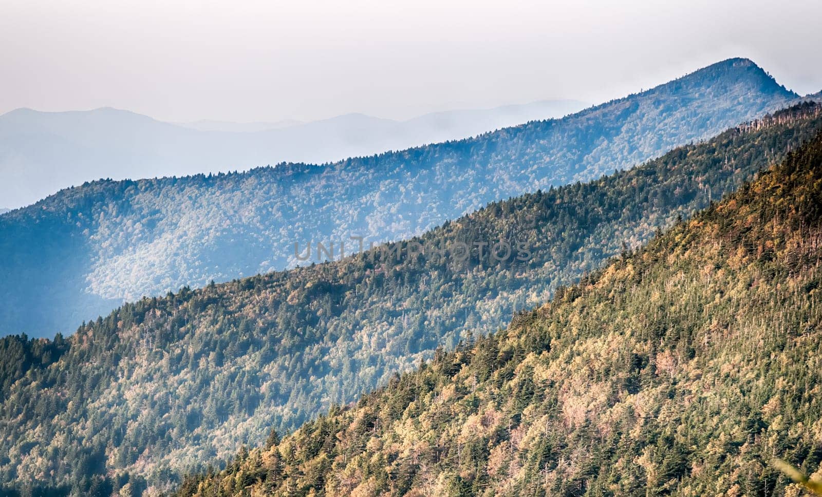 The simple layers of the Smokies at sunset - Smoky Mountain Nat. Park, USA.