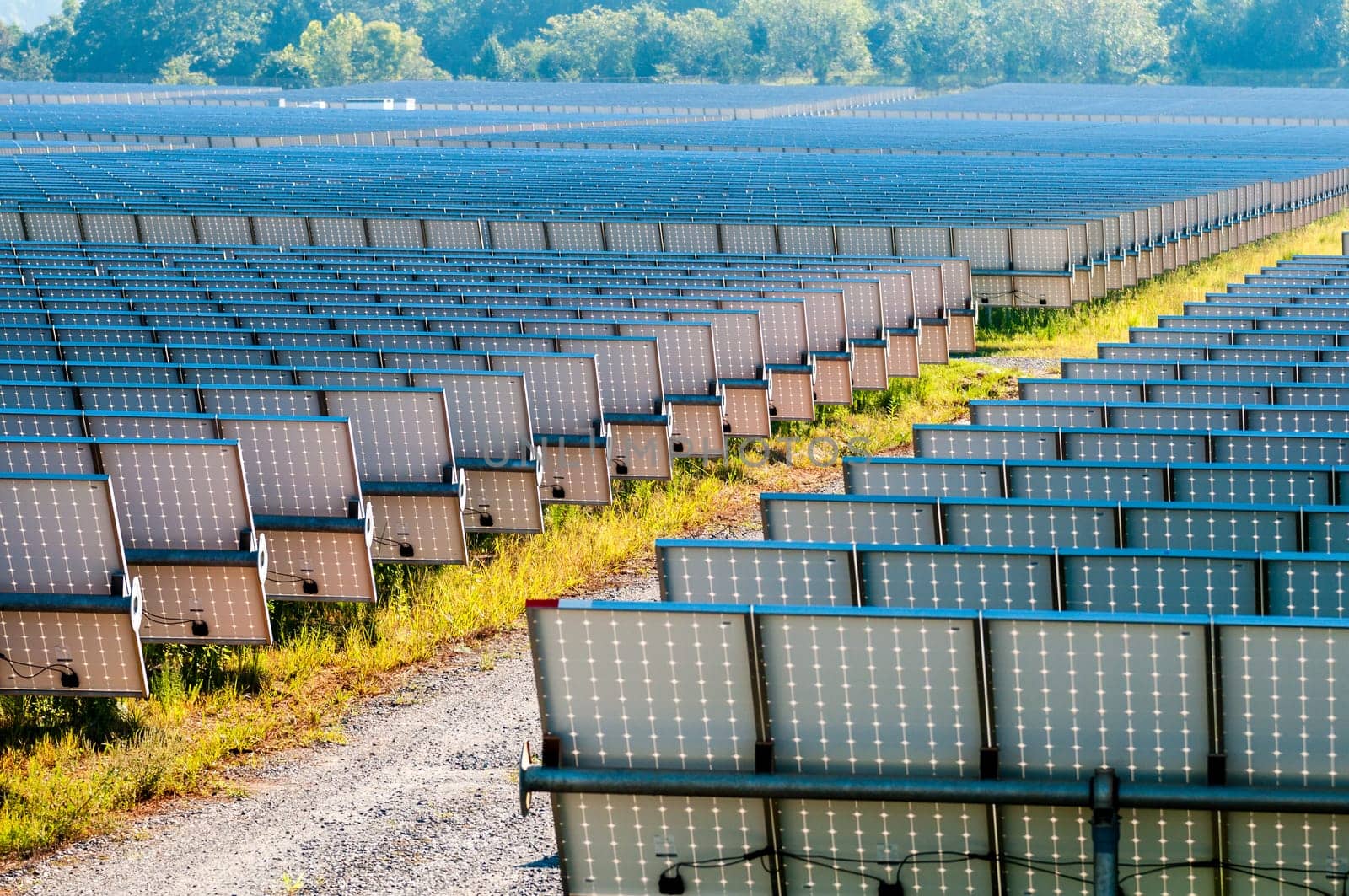 solar panels field on a sunny day