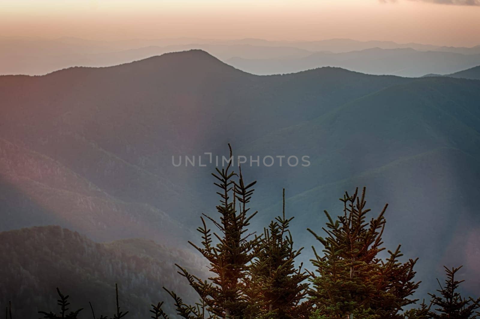 The simple layers of the Smokies at sunset - Smoky Mountain Nat. Park, USA.