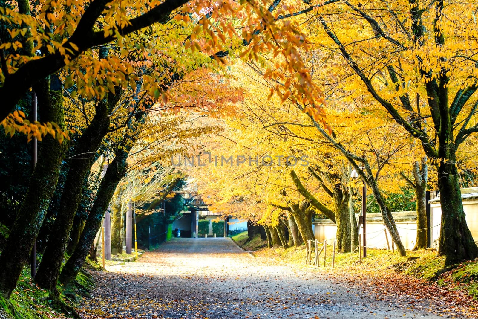 Kyoto, Japan - June 30, 2014