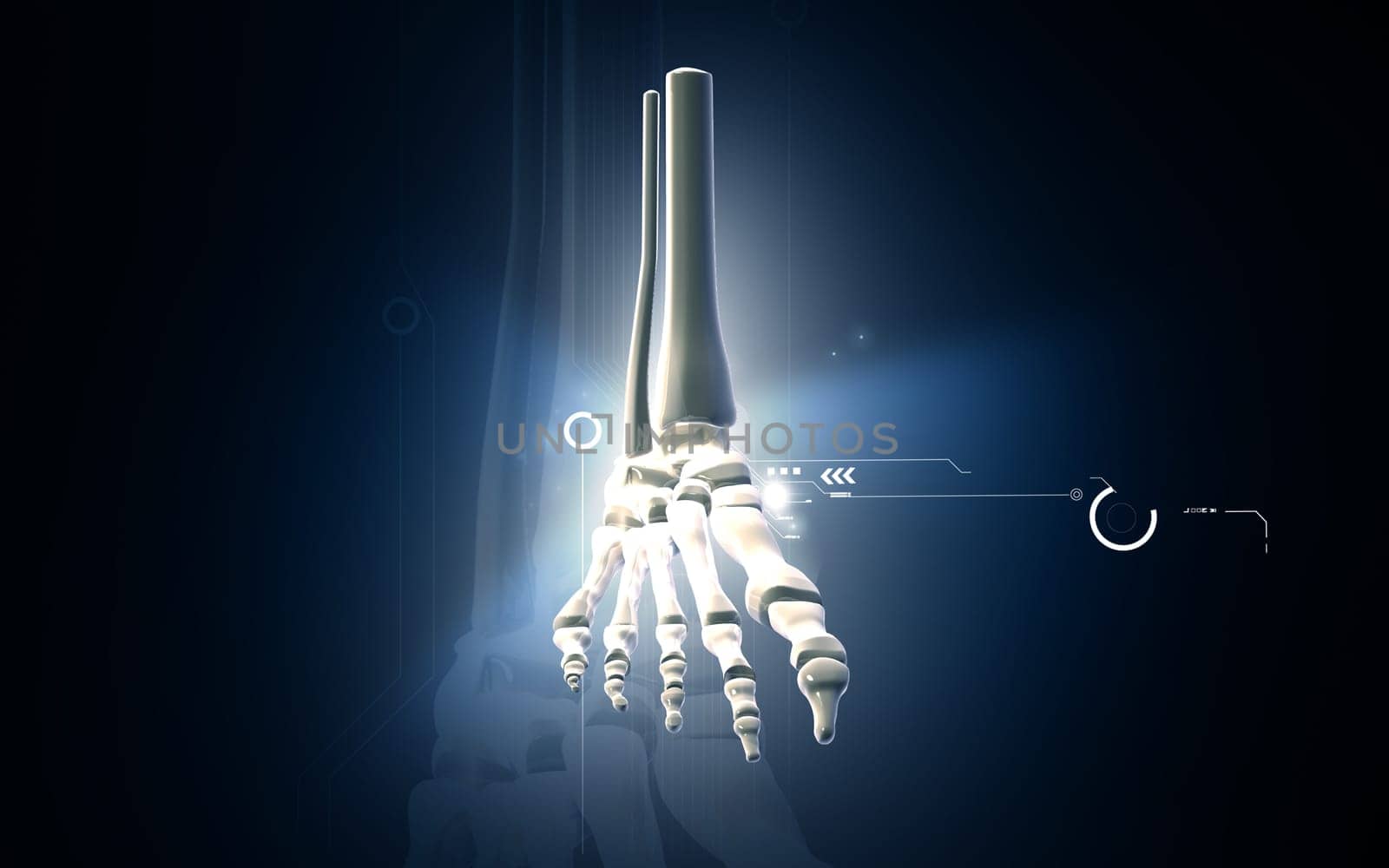 Digital illustration of Leg bone in colour background