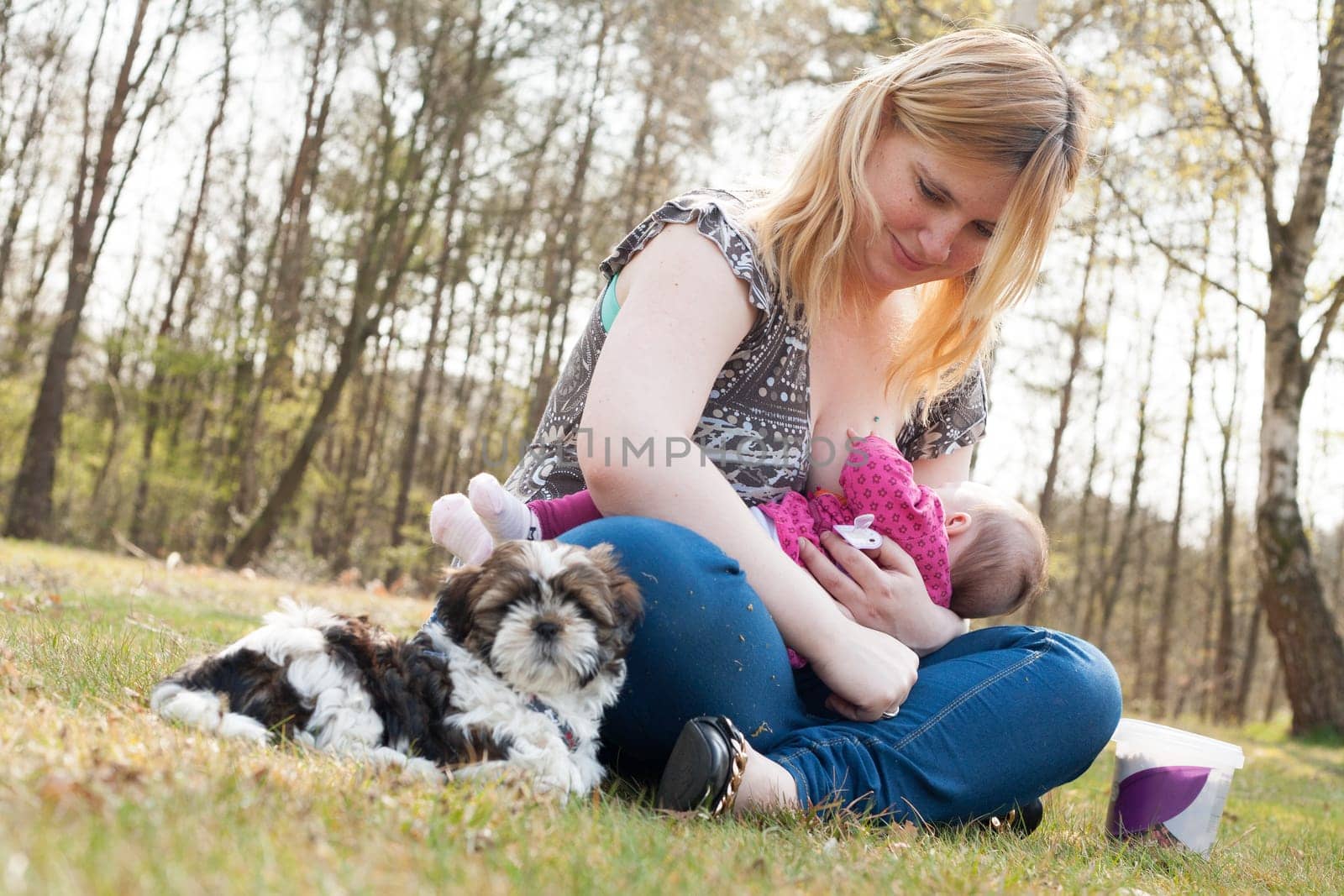 Mother is having a trip with the baby and dog outside