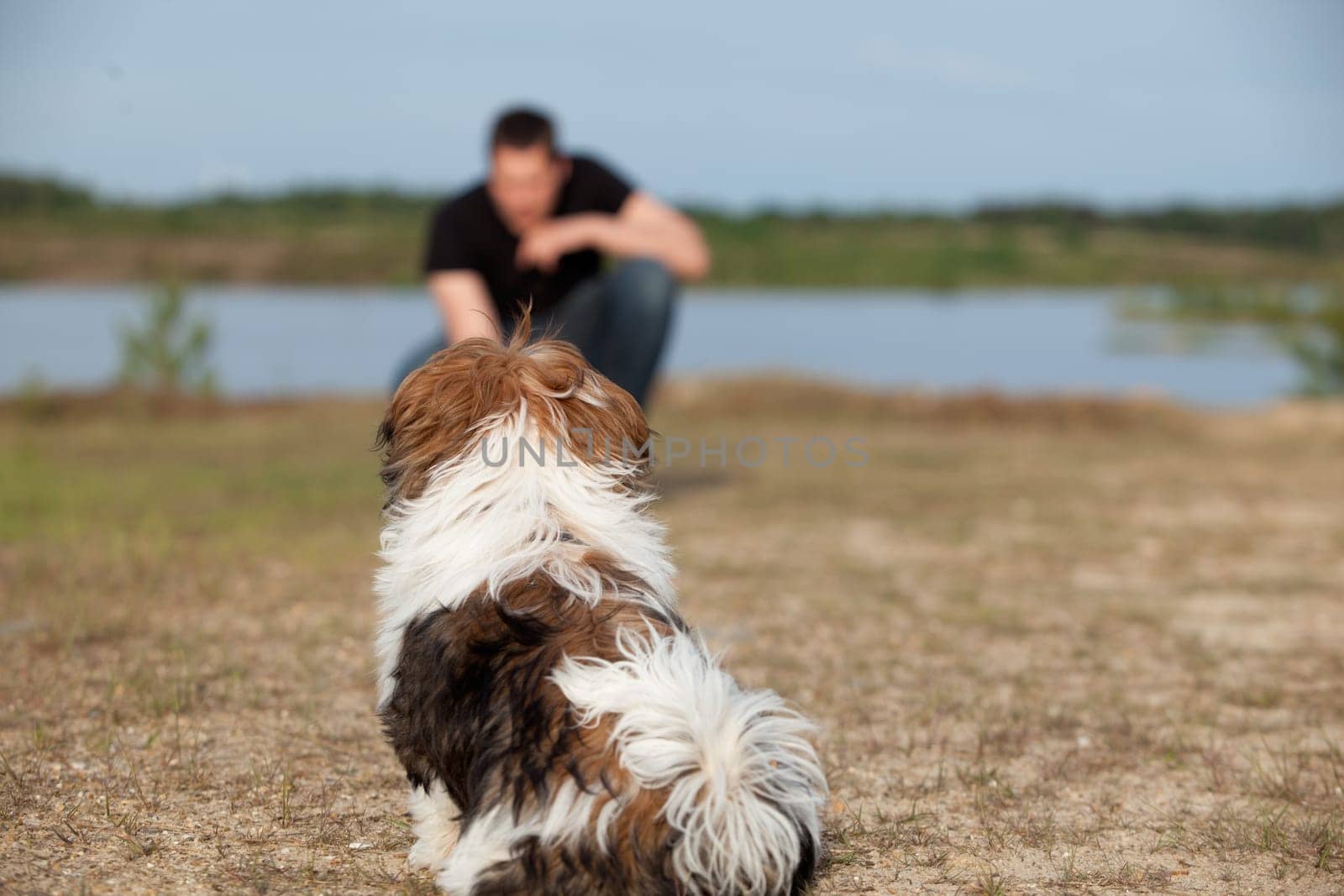 Little dog is listening to its owner