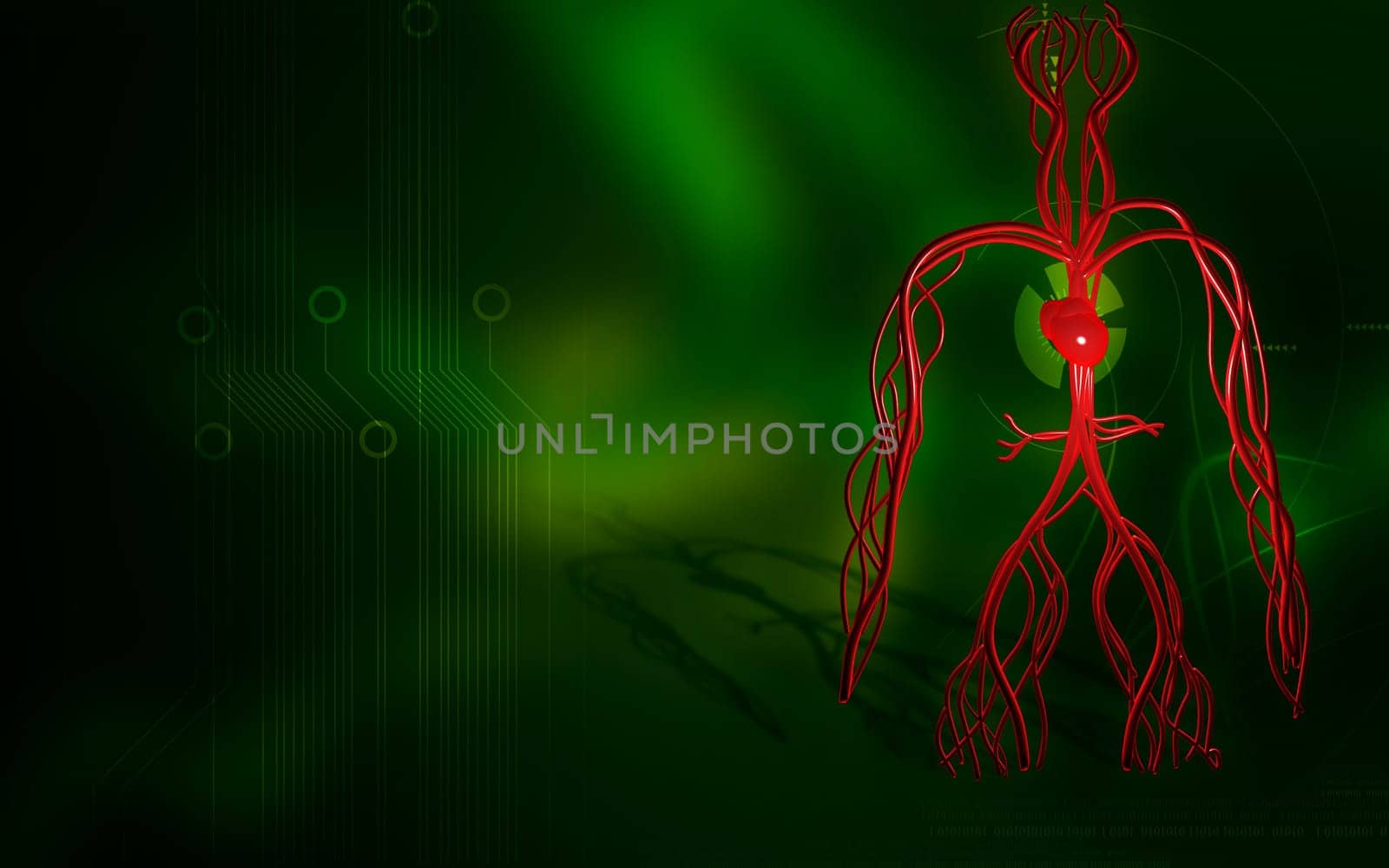 Digital illustration of vascular system in colour background