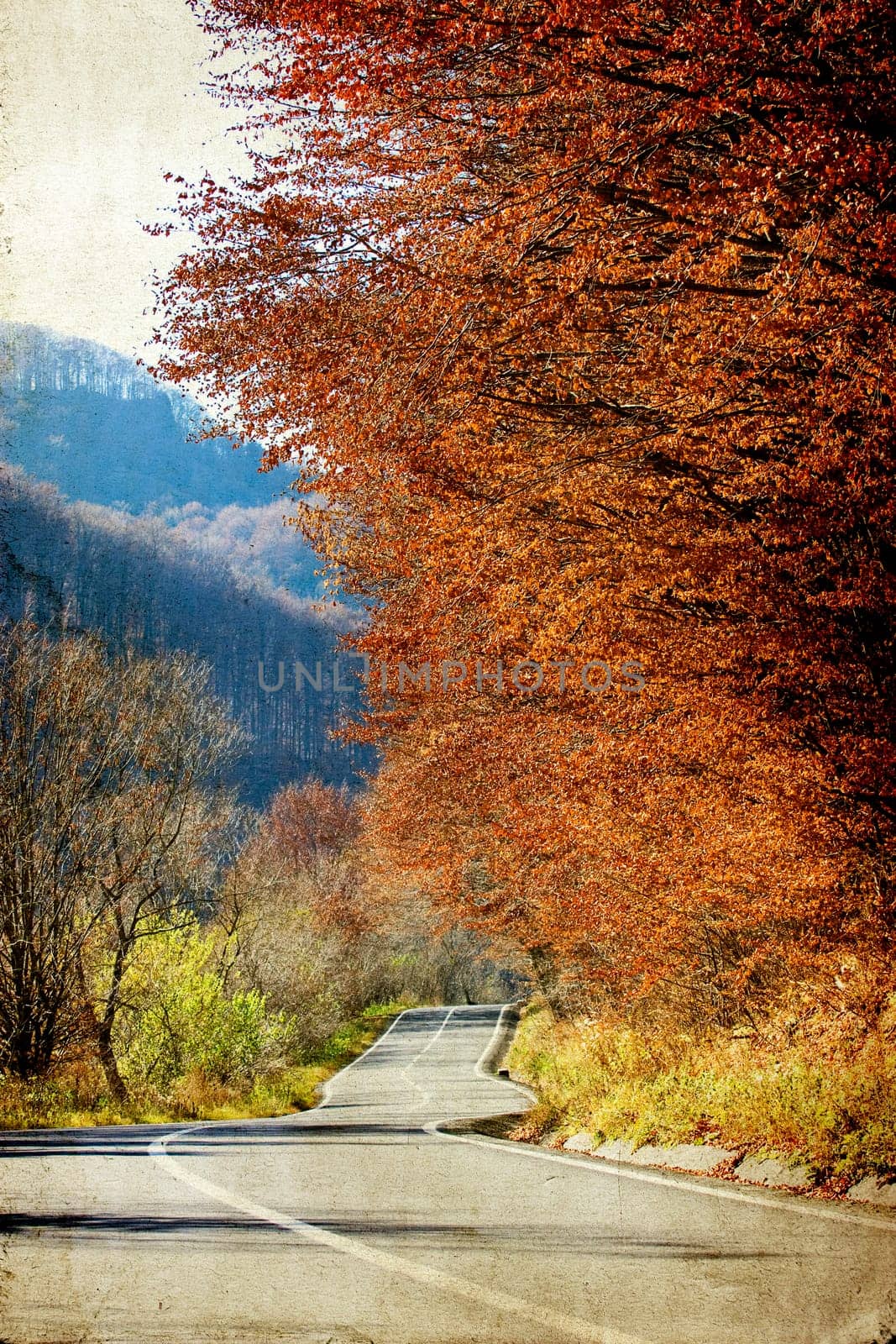 Vintage photo of curving road in autumn forest
