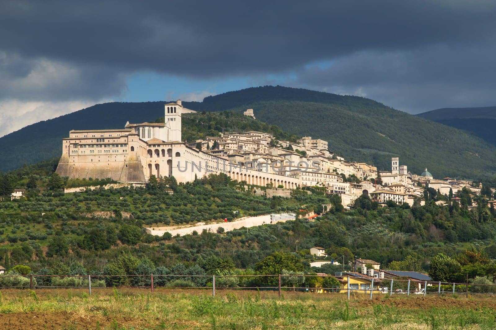 General view of Assisi with The Papal Basilica of St. Francis of Assisi (Umbria, Italy)