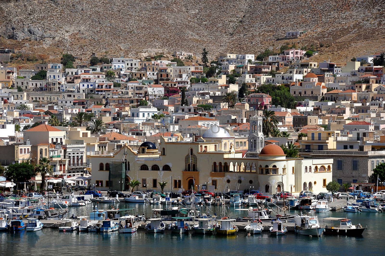 Pothia