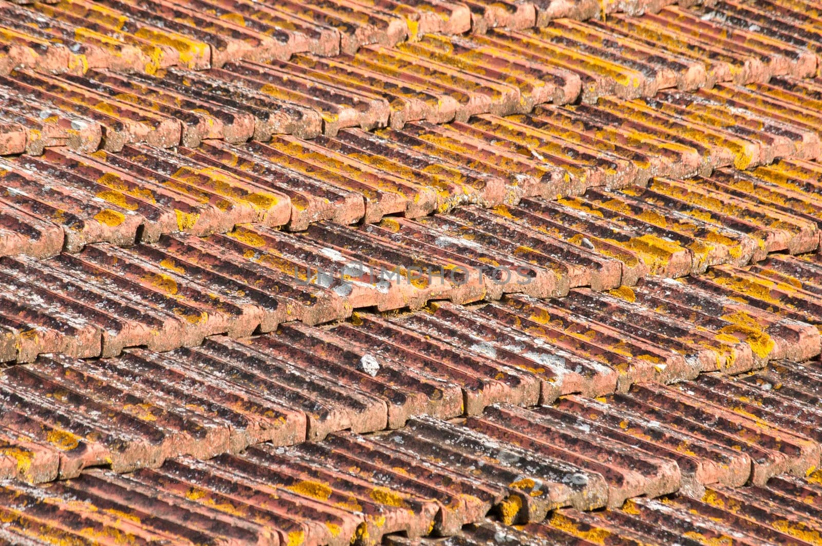 Weathered tiles of old house roof as background