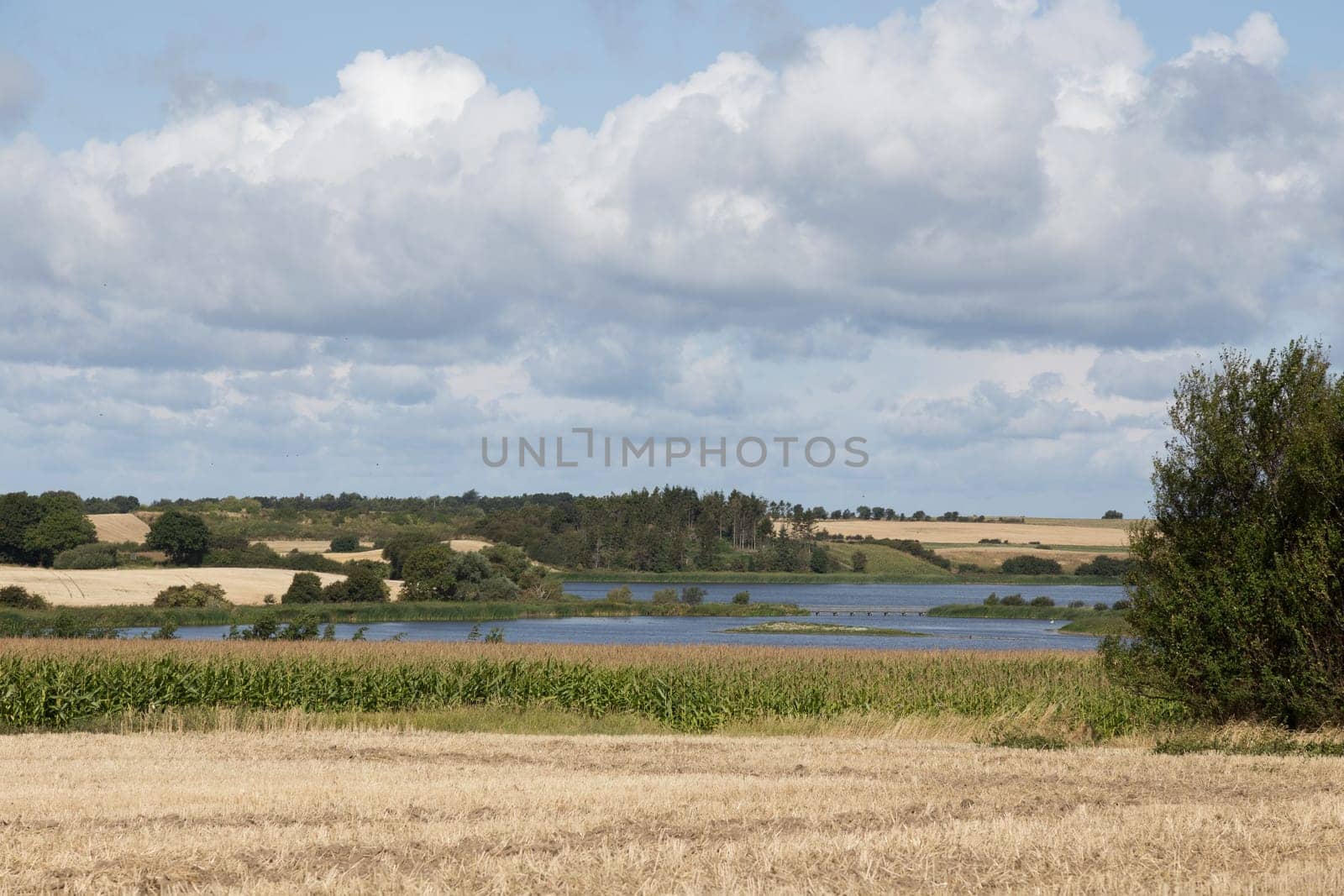 A picturesque lake surrounded by harvested fields