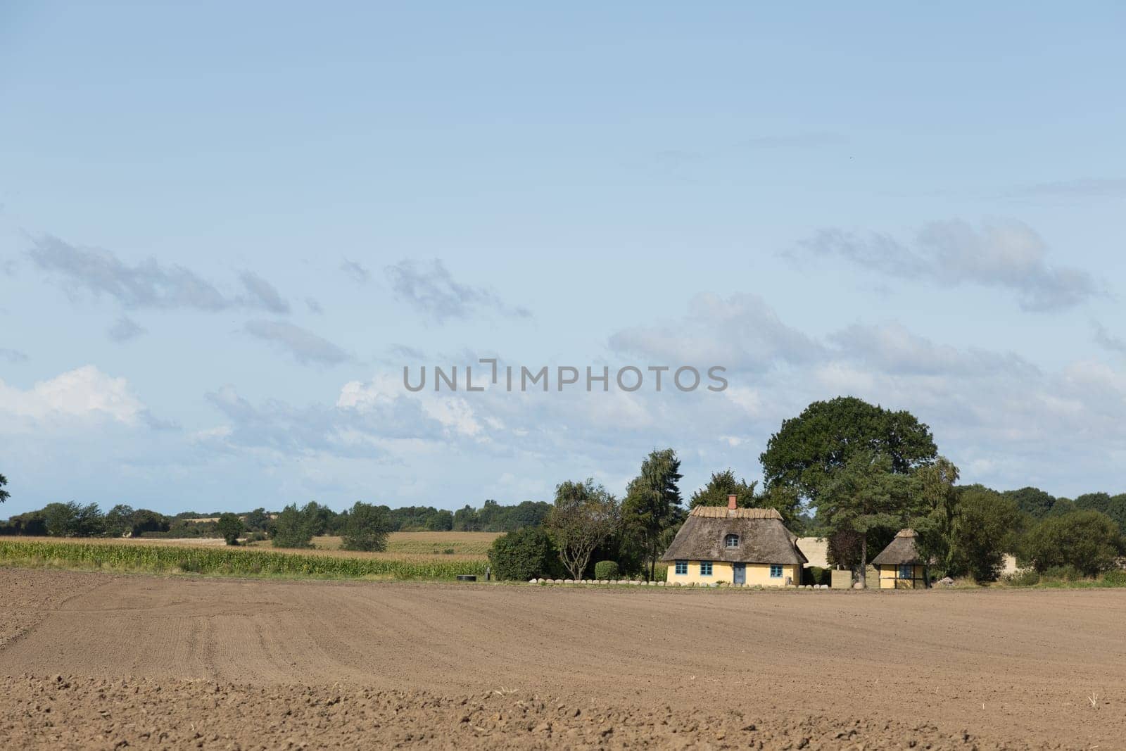 Small yellow house on the edge of a field