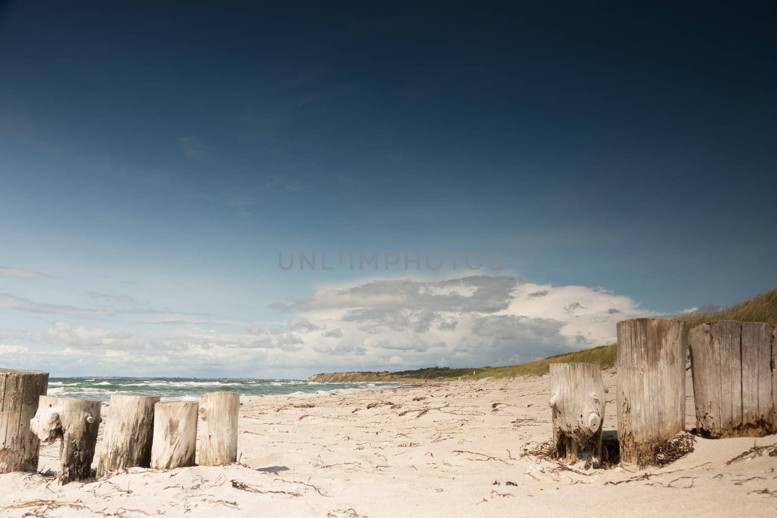 Further view of the Baltic Sea with stakes in the foreground