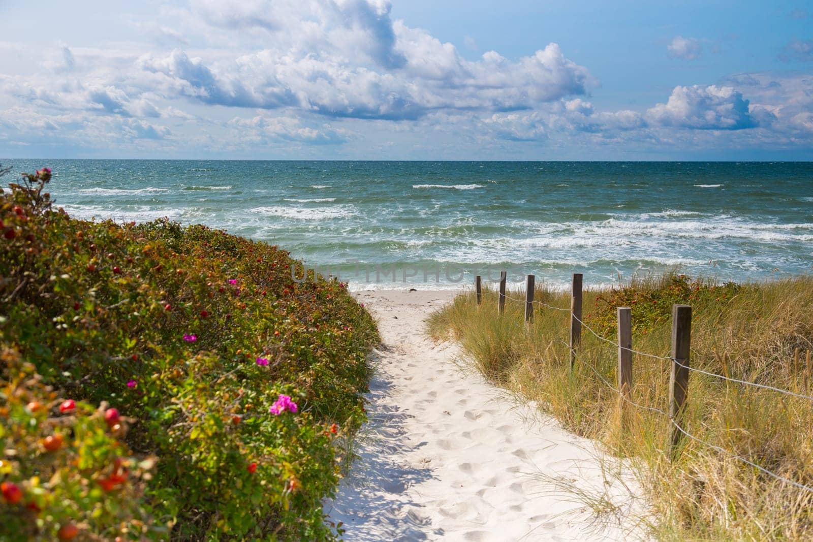 Sandy access to the beach of Ristinge Strand,Langeland