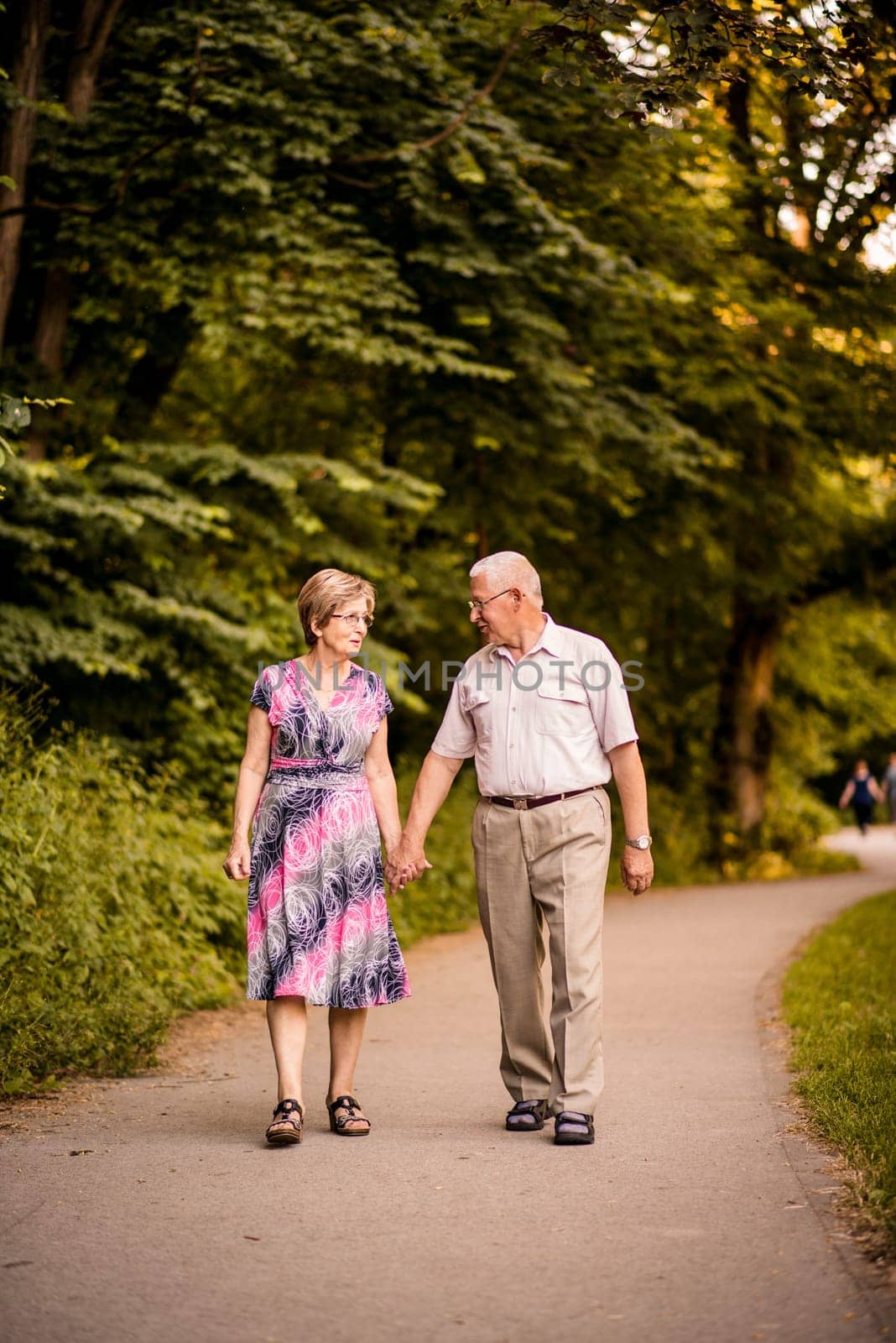 Happy senior couple walking together holding hands in forest park