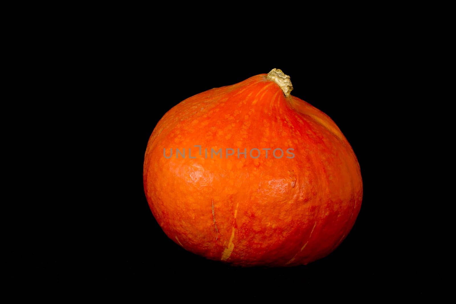 One orange hokkaido pumpkin on a black background.