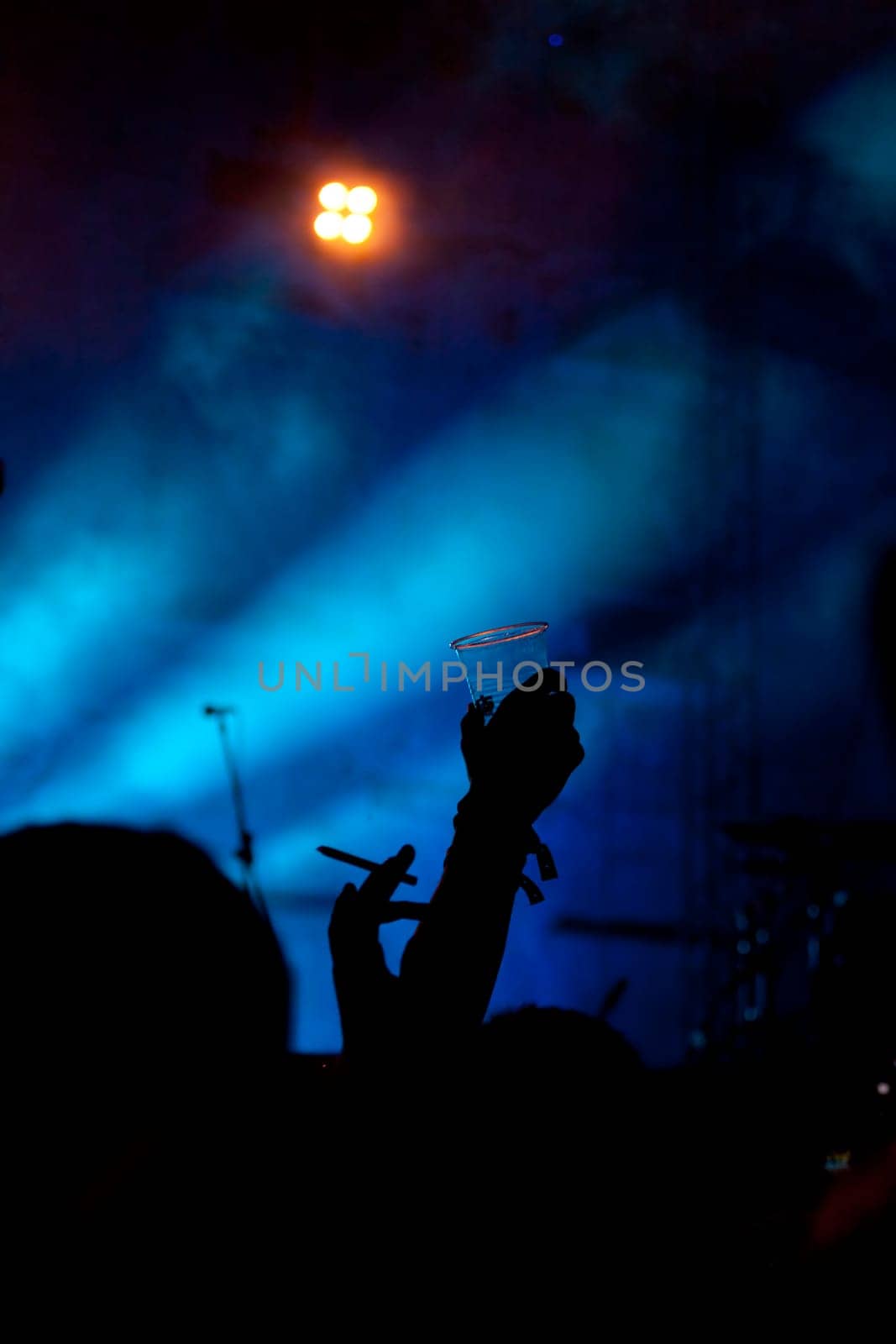 Crowd at  electric opan air concert at night