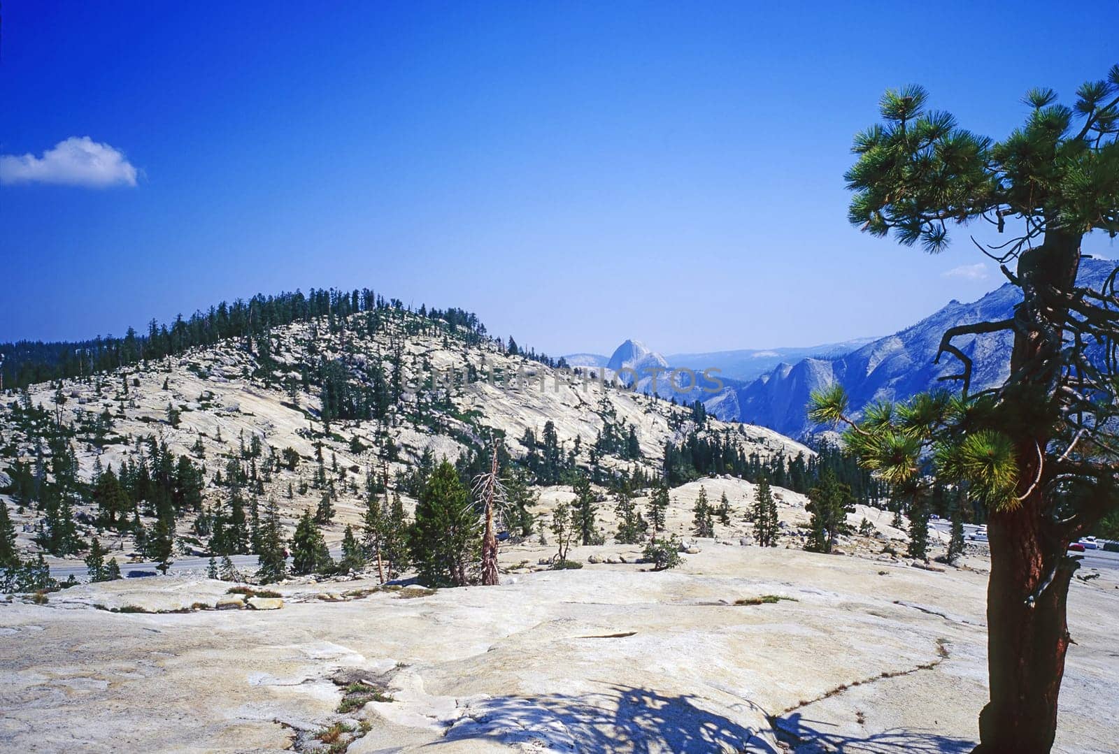 Yosemite National Park in California