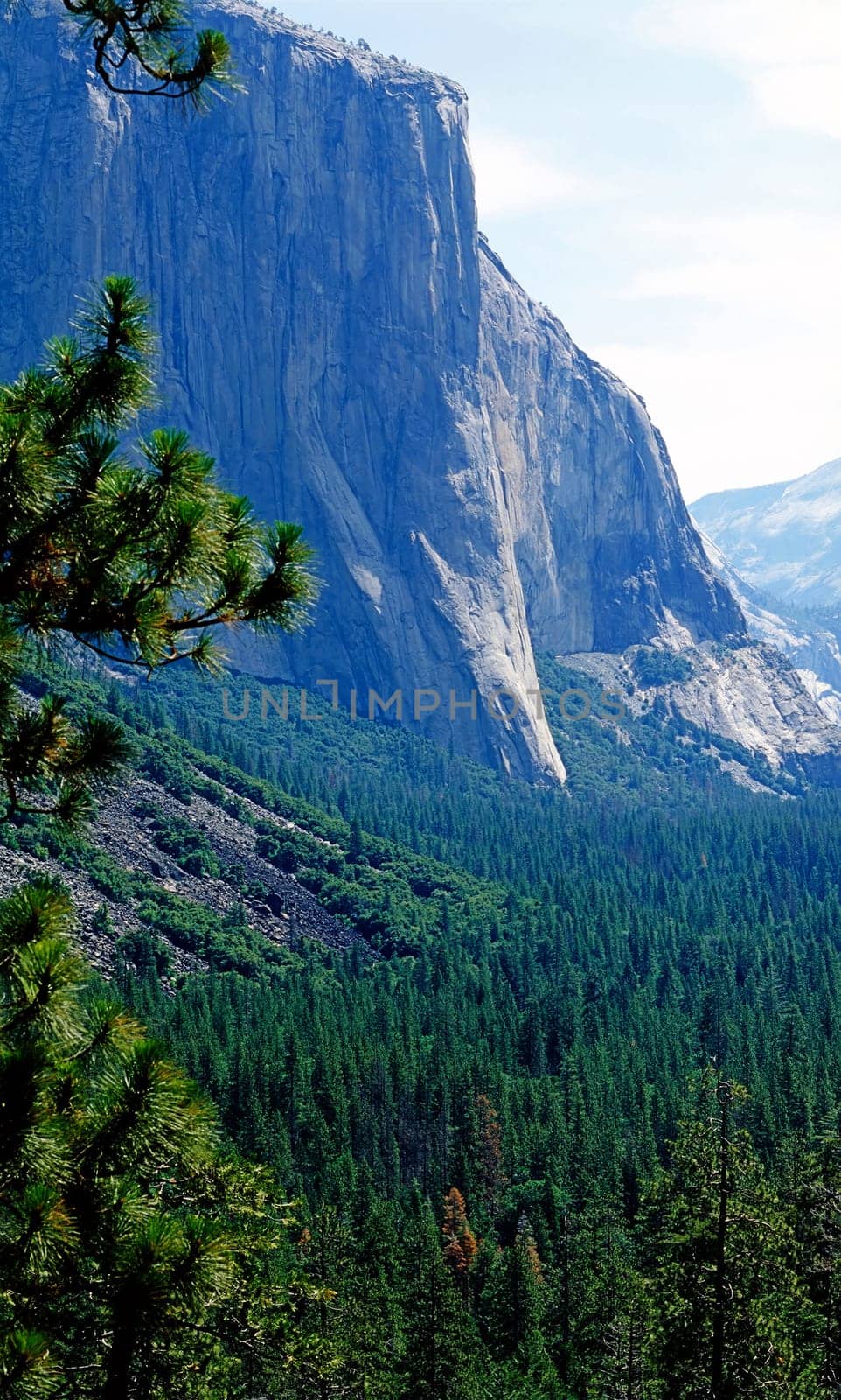 El Capitan in Yosemite National Park,California